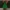 Christmas Tree Present Pooper (free)
