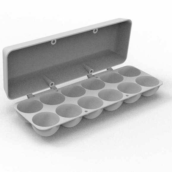 Large Egg carton with magnet closure