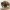 Low Poly Bison