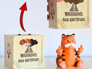 Cat Middle Finger with Surprise Crate