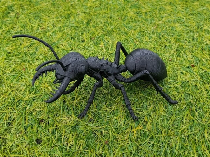 Trap-Jaw Ant - Realistic Detailed Insect