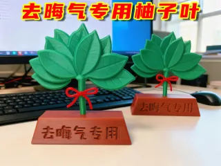 Special grapefruit leaf for removing bad luck去晦气专用柚子叶