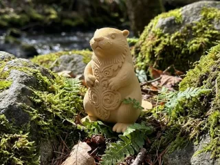 发呆的海狸