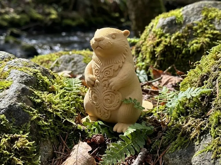 发呆的海狸