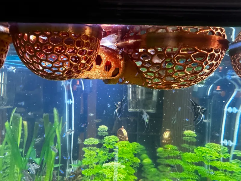 水族箱躲避屋 X3
