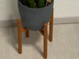Minimalist Plant Stand-0