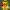 Rubber Duck - Jack Dylan Grazer in the movie IT