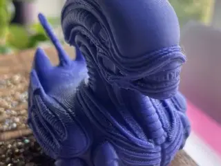 Alien Duck
