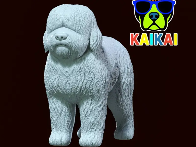 Old English Sheepdog - Bobtail dog - 3D print