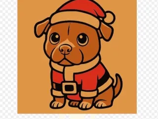 My Santa Dog