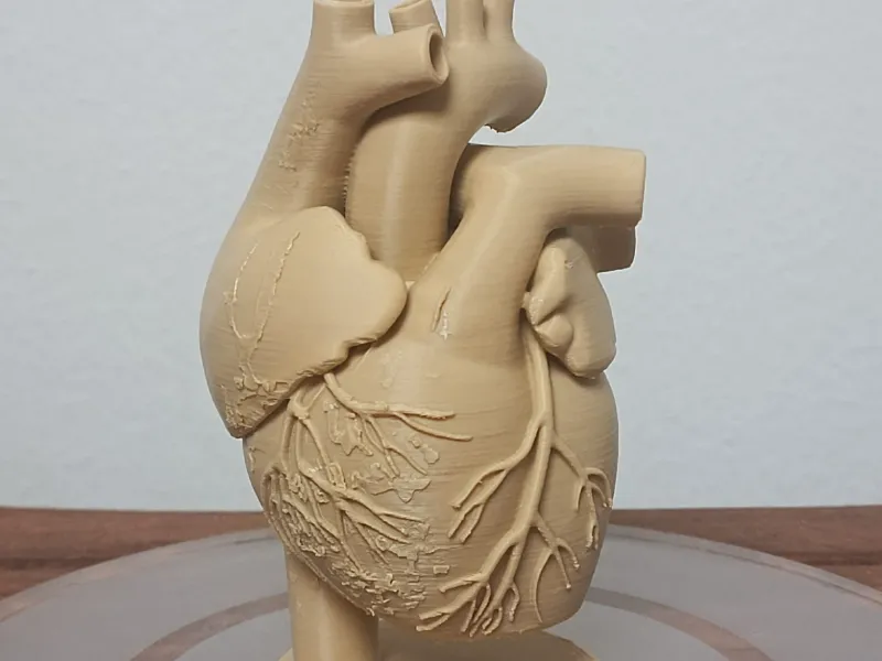 Corazón