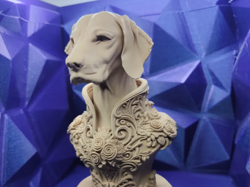 The Sovereign Floravian Vizsla Relic