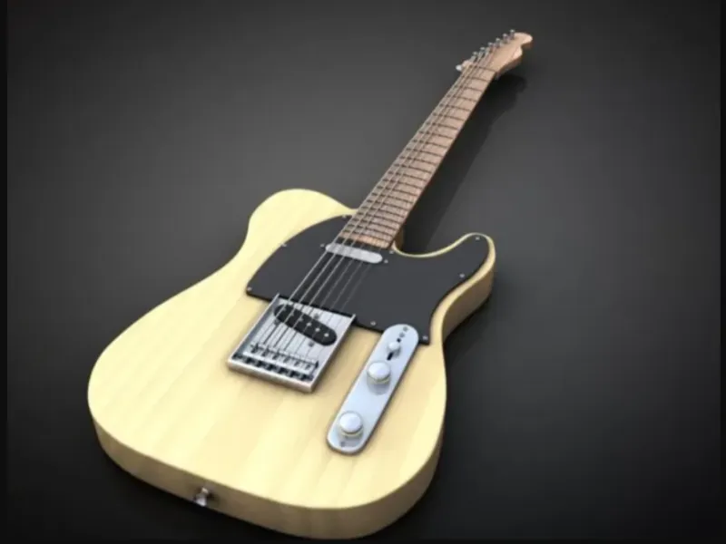 Guitar