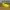 Relaxed Banana - Moody Bananas