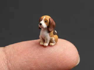 tiny beagle dog