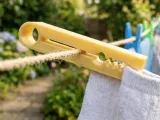 3d Printed Peg-0