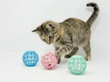 Cat Toy Ball-0