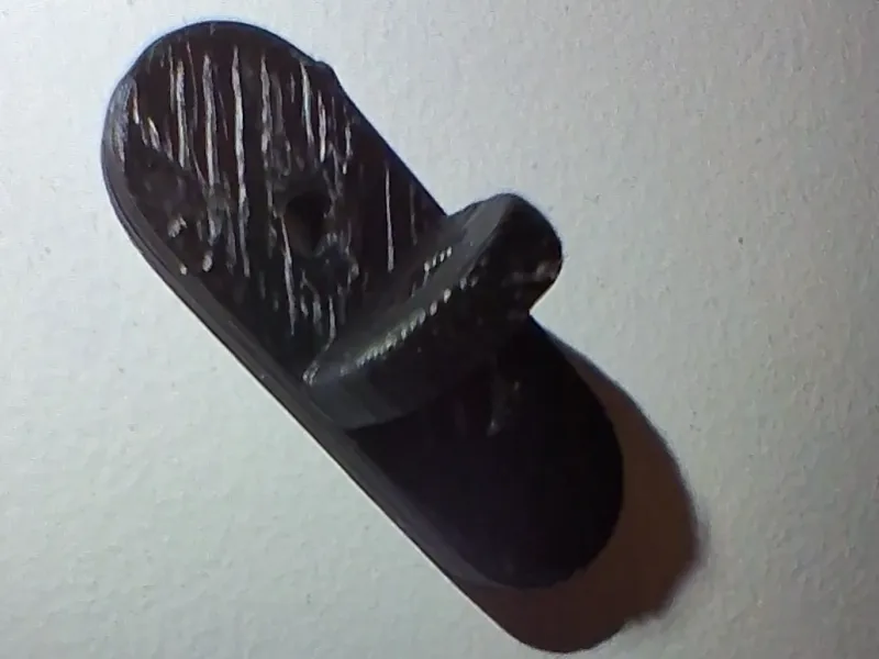 DoorHorn4