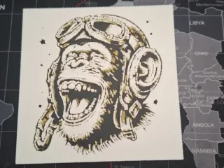 Canvas  mono