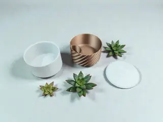 Pistachio Smart Bowl