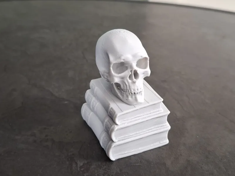 Skull on Books