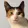 avatar of user665556217