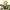 Broly ssj Dragon Ball Super