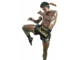 Muay Thai Kick-0