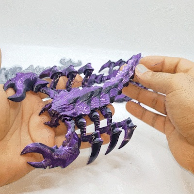 ALACRAGNIDO