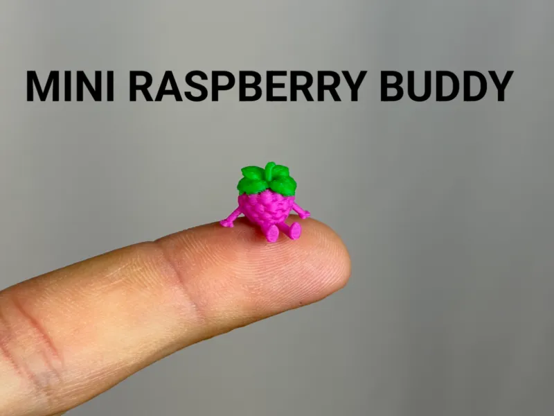 Mini Raspberry Buddy