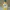 Lego Man FCK