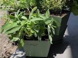 Stackable planter with drip tray-0