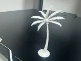 palmera-0