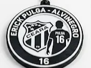 erick pulga projeto