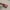 Megaphone Shaped Clicker