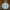 Monthly Salary Cat Listing
