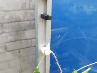 Greenhouse Clips - string or mesh