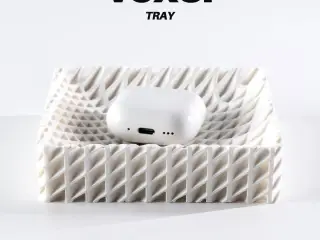 Voxel ⬝ Tray
