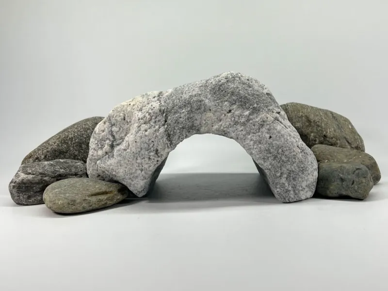 Rock Arch Reptile