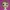 Funko Madonna