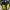 Linterna de Minecraft