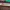 DUplo Geschenk Box Beste Freundin | Geschenkidee