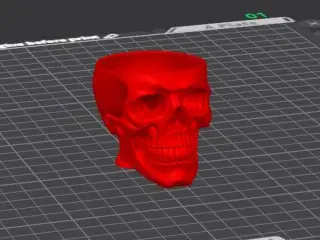 skull head 