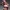 Anime girl in short jeans