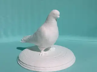 Dove