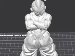 DBZ KID BUU
