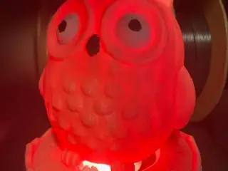 OWL LIGHT V2 WITH LED LIGHT
