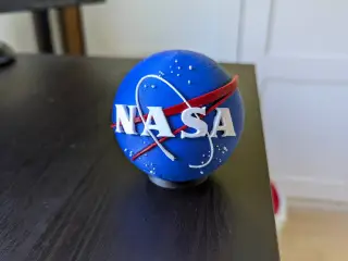 Nasa Insignia
