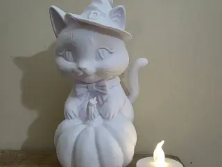 Witch Cat with Pumpkin :)