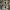 Subaru Intake Manifold Phenolic Spacer